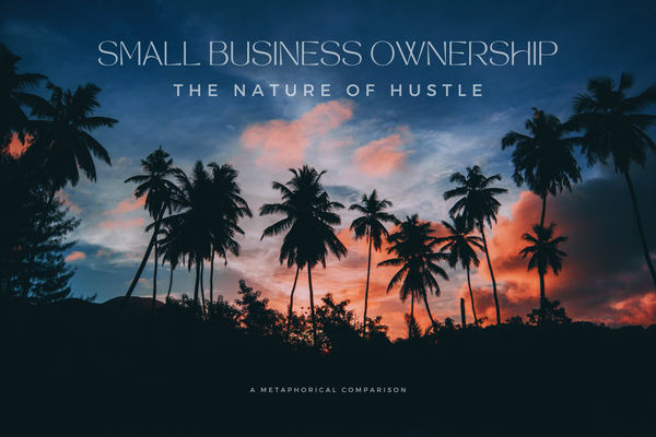 What is a small business? A metaphor